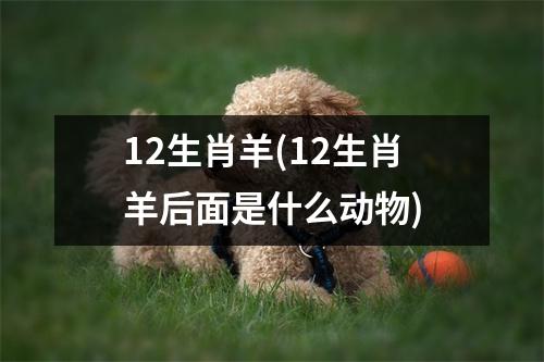 12生肖羊(12生肖羊后面是什么动物)