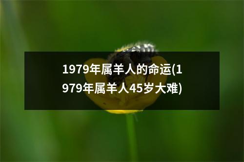 1979年属羊人的命运(1979年属羊人45岁大难)