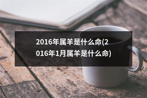 2016年属羊是什么命(2016年1月属羊是什么命)