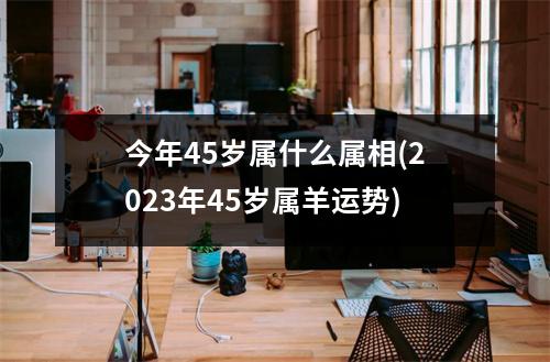 今年45岁属什么属相(2023年45岁属羊运势)