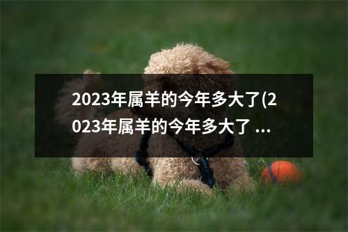 2023年属羊的今年多大了(2023年属羊的今年多大了 岁数表)