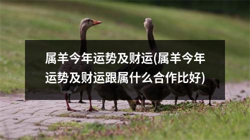 属羊今年运势及财运(属羊今年运势及财运跟属什么合作比好)