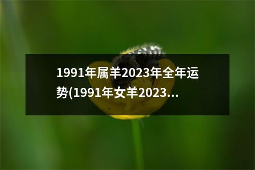 1991年属羊2023年全年运势(1991年女羊2023年每月运势)