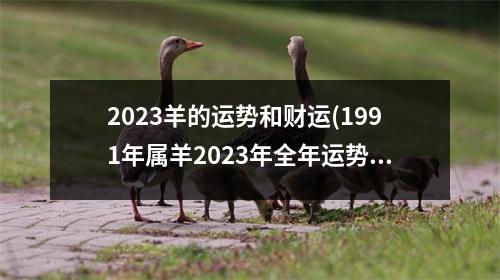 2023羊的运势和财运(1991年属羊2023年全年运势)