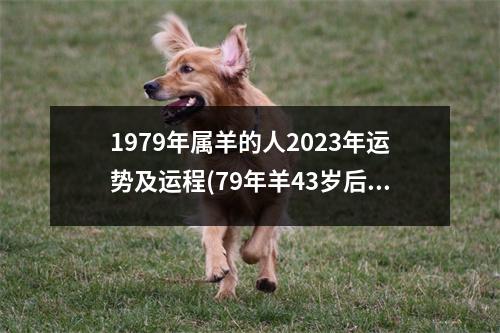 1979年属羊的人2023年运势及运程(79年羊43岁后十年大运运程)