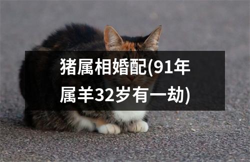 猪属相婚配(91年属羊32岁有一劫)