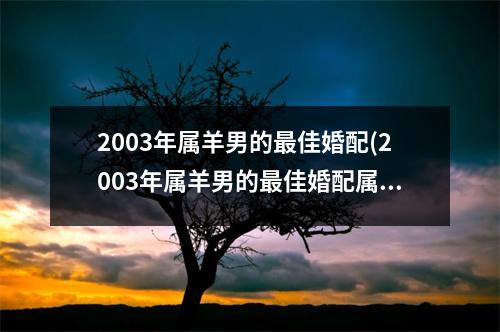 2003年属羊男的佳婚配(2003年属羊男的佳婚配属相是什么)