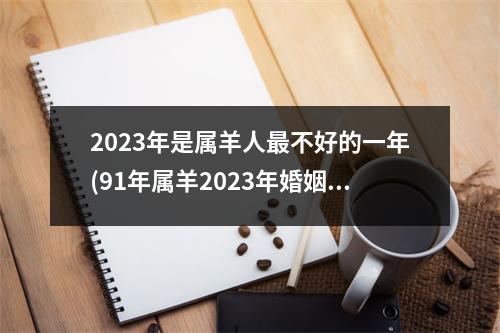 2023年是属羊人不好的一年(91年属羊2023年婚姻终归宿)