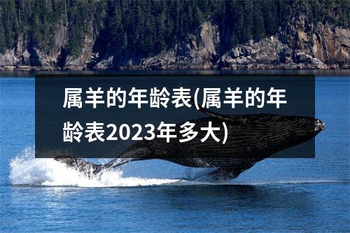 属羊的年龄表(属羊的年龄表2023年多大)