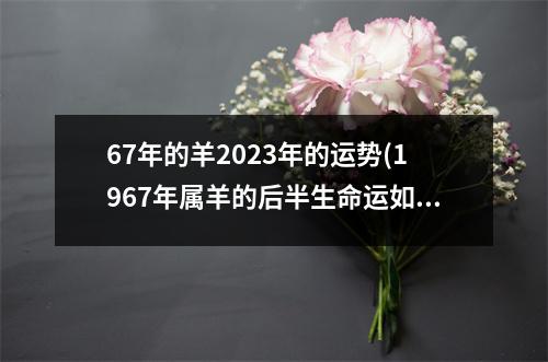 67年的羊2023年的运势(1967年属羊的后半生命运如何)