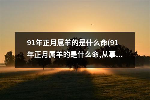 91年正月属羊的是什么命(91年正月属羊的是什么命,从事什么职业可以有所成就)