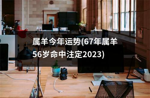 属羊今年运势(67年属羊56岁命中注定2023)