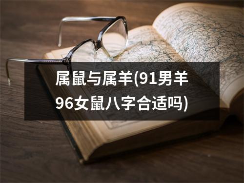 属鼠与属羊(91男羊96女鼠八字合适吗)