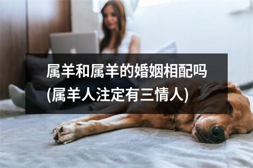 属羊和属羊的婚姻相配吗(属羊人注定有三情人)