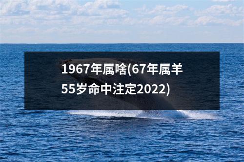 1967年属啥(67年属羊55岁命中注定2022)