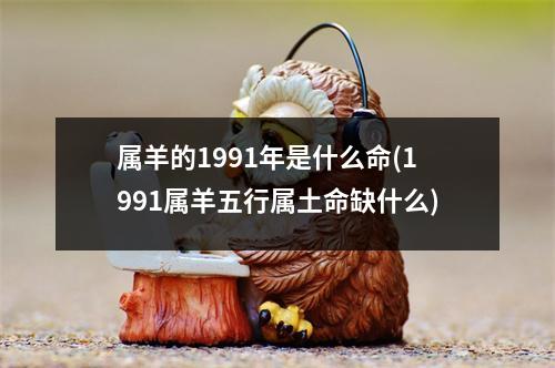 属羊的1991年是什么命(1991属羊五行属土命缺什么)