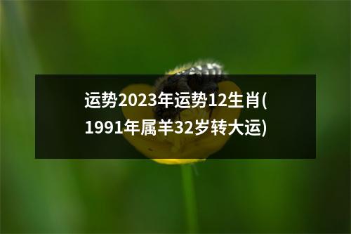 运势2023年运势12生肖(1991年属羊32岁转大运)