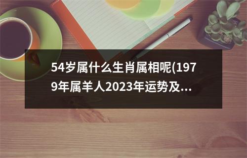 54岁属什么生肖属相呢(1979年属羊人2023年运势及运程男)