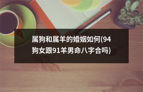 属狗和属羊的婚姻如何(94狗女跟91羊男命八字合吗)