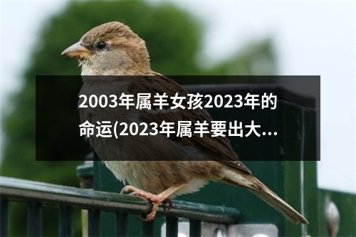 2003年属羊女孩2023年的命运(2023年属羊要出大事)