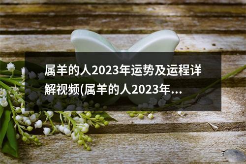 属羊的人2023年运势及运程详解(属羊的人2023年运势及运程详解大全)