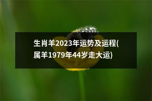 生肖羊2023年运势及运程(属羊1979年44岁走大运)