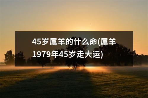 45岁属羊的什么命(属羊1979年45岁走大运)