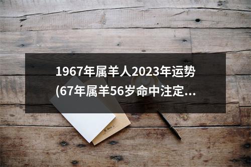 1967年属羊人2023年运势(67年属羊56岁命中注定2023)