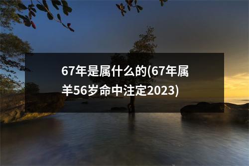 67年是属什么的(67年属羊56岁命中注定2023)