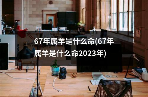 67年属羊是什么命(67年属羊是什么命2023年)