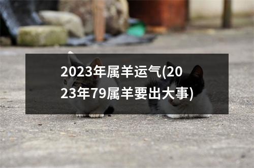 2023年属羊运气(2023年79属羊要出大事)