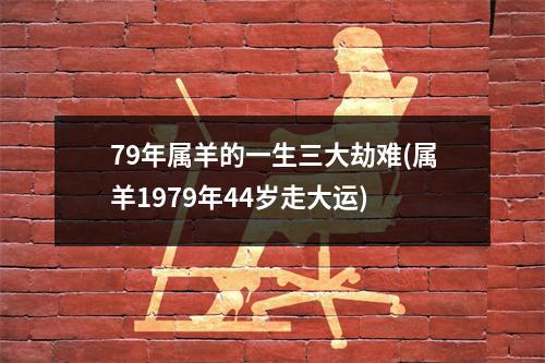 79年属羊的一生三大劫难(属羊1979年44岁走大运)