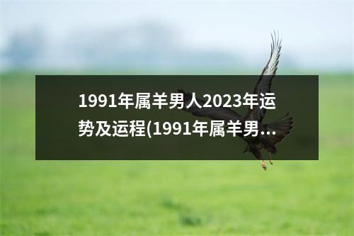 1991年属羊男人2023年运势及运程(1991年属羊男人2023年运势及运程每月运势如何)