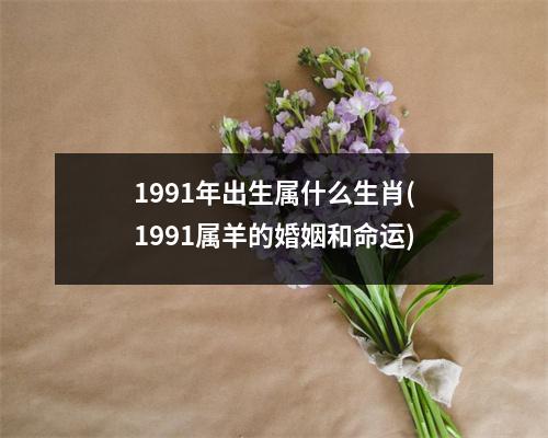 1991年出生属什么生肖(1991属羊的婚姻和命运)