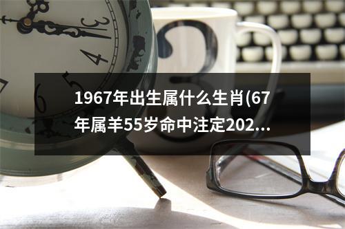 1967年出生属什么生肖(67年属羊55岁命中注定2022)