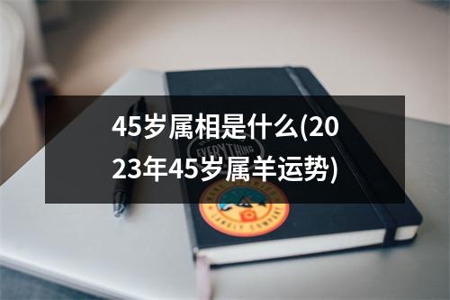 45岁属相是什么(2023年45岁属羊运势)