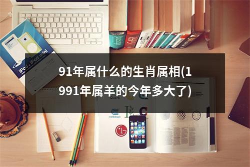 91年属什么的生肖属相(1991年属羊的今年多大了)