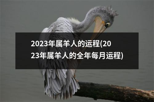 2023年属羊人的运程(2023年属羊人的全年每月运程)