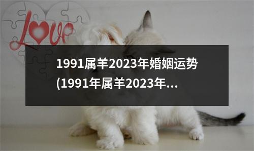 1991属羊2023年婚姻运势(1991年属羊2023年全年运势)