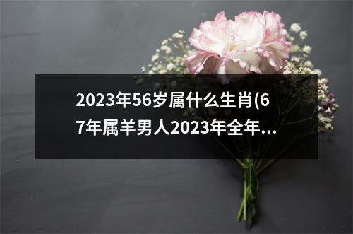 2023年56岁属什么生肖(67年属羊男人2023年全年运势详解)