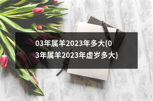 03年属羊2023年多大(03年属羊2023年虚岁多大)