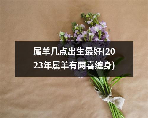 属羊几点出生好(2023年属羊有两喜缠身)