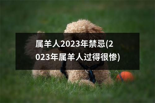 属羊人2023年禁忌(2023年属羊人过得很惨)