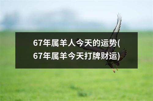 67年属羊人今天的运势(67年属羊今天打牌财运)