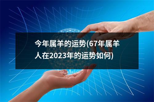 今年属羊的运势(67年属羊人在2023年的运势如何)