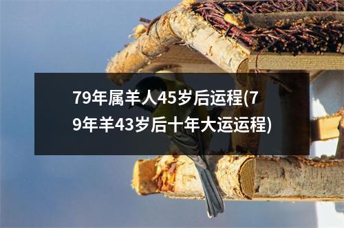 79年属羊人45岁后运程(79年羊43岁后十年大运运程)