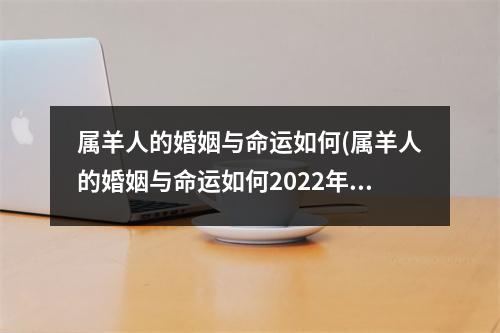 属羊人的婚姻与命运如何(属羊人的婚姻与命运如何2022年)