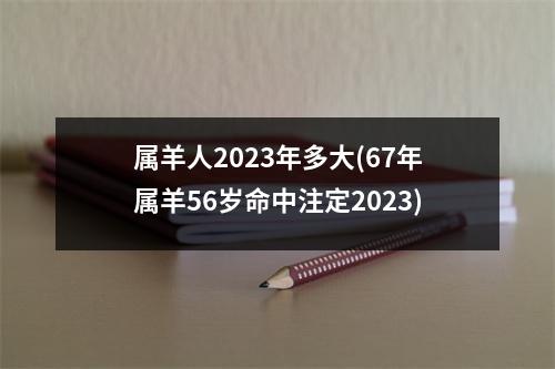 属羊人2023年多大(67年属羊56岁命中注定2023)