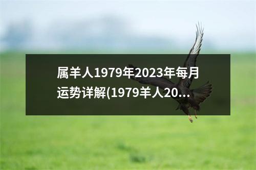 属羊人1979年2023年每月运势详解(1979羊人2023年全年运势详解)