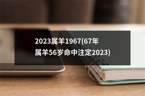 2023属羊1967(67年属羊56岁命中注定2023)